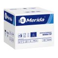 GASTRONOMIC NAPKINS 24 CM X 15.5 CM, CARTON 7500 PCS (30 PACKS OF 250 PCS), ECOLABEL